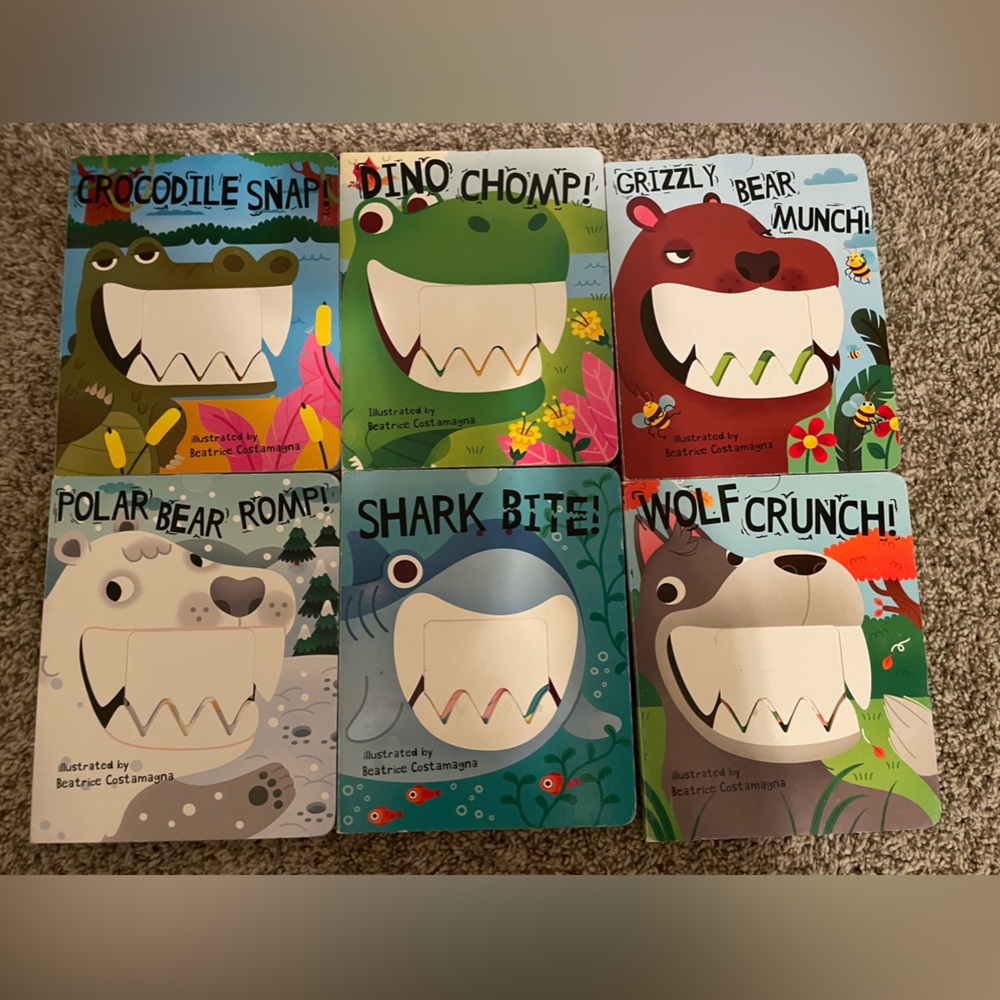 Six Crunch Board books EUC